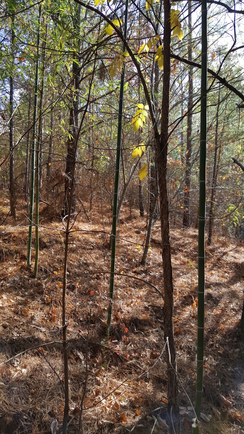 Participants navigating through mud pit obstacle